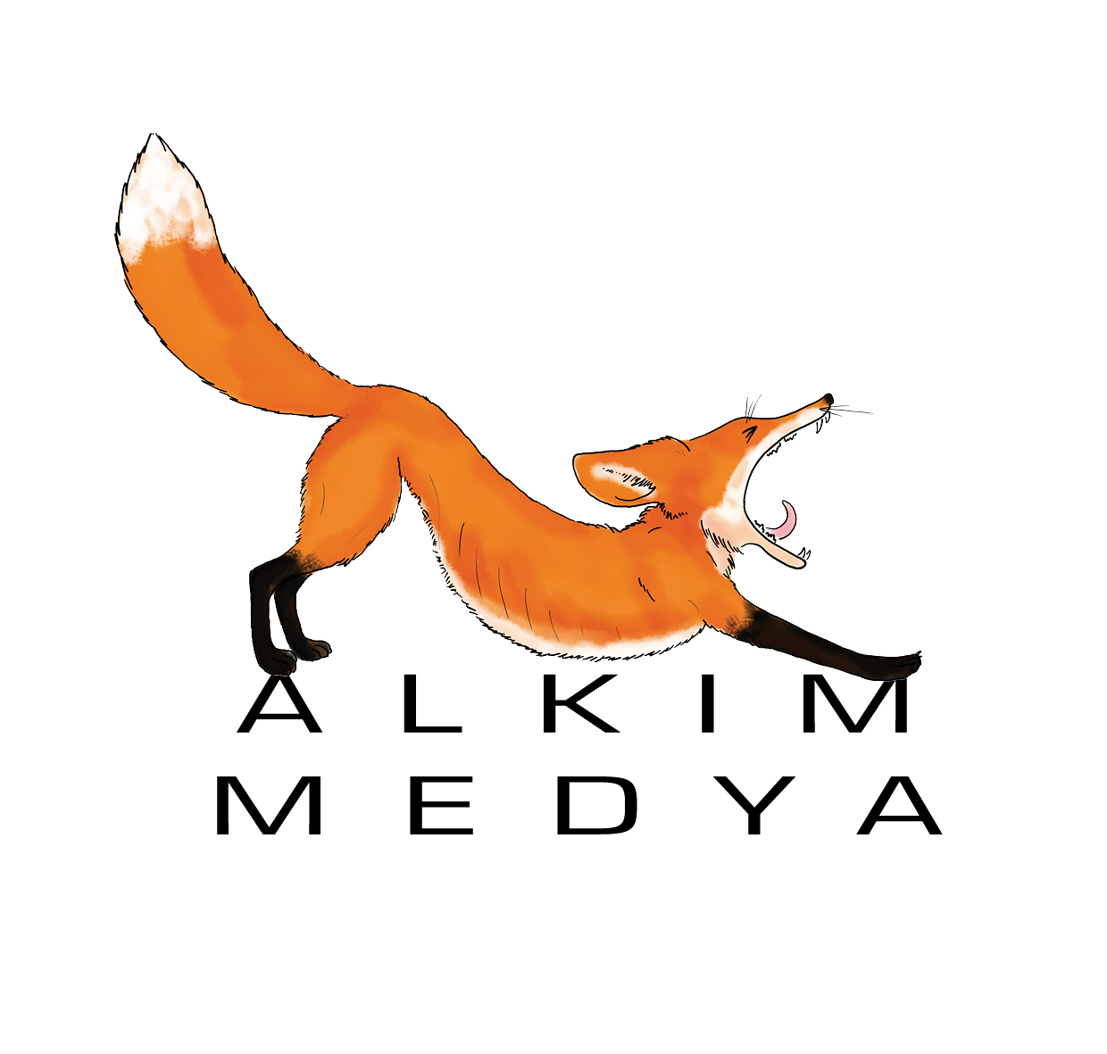 Alkım Medya Logo